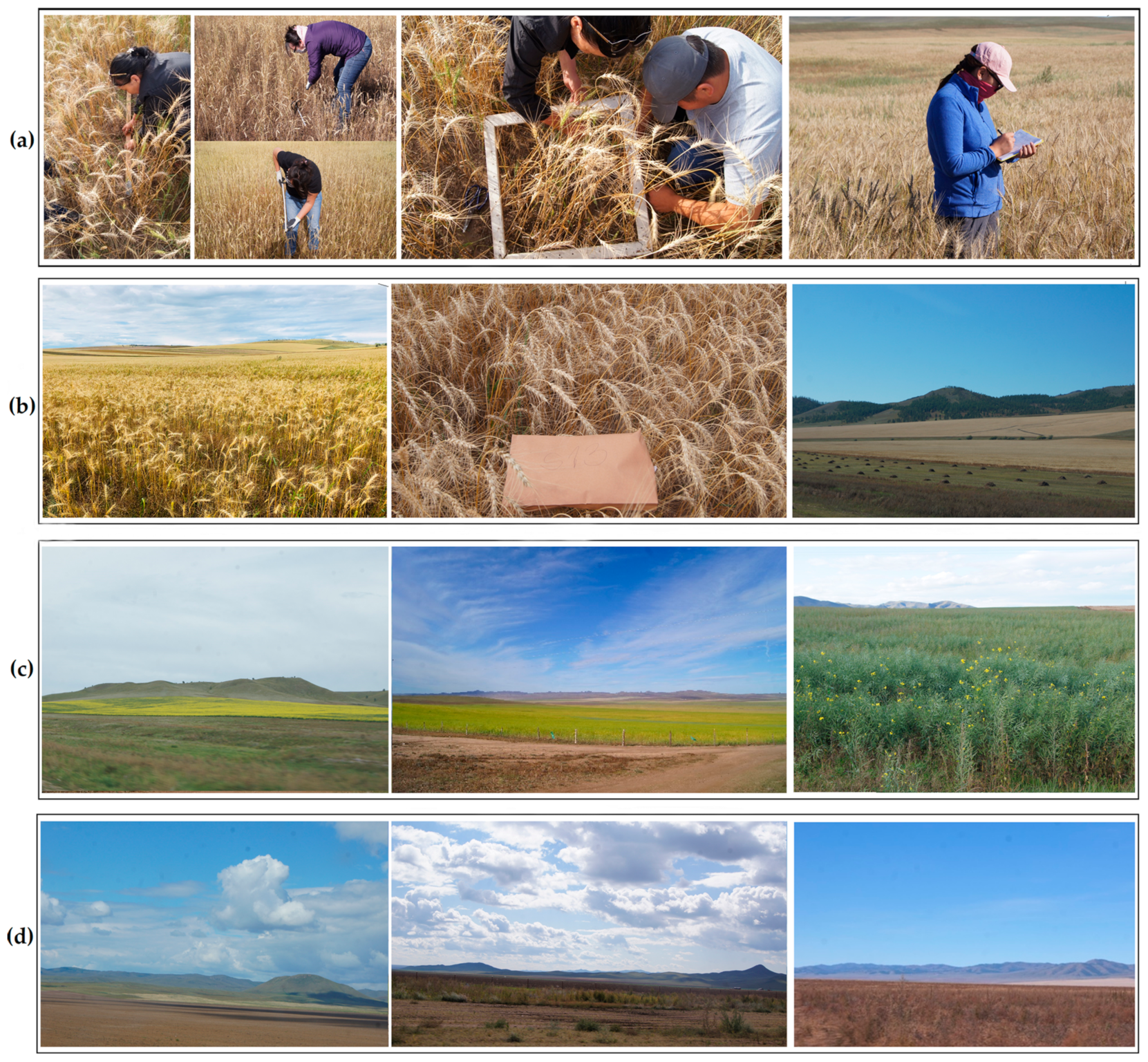 Remotesensing 14 01830 g004