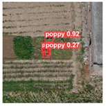 Remotesensing 14 01834 i005