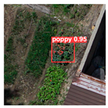 Remotesensing 14 01834 i015