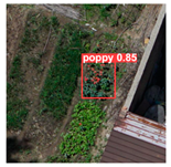 Remotesensing 14 01834 i019