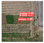 Remotesensing 14 01834 i021