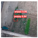 Remotesensing 14 01834 i022