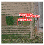 Remotesensing 14 01834 i025