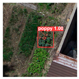 Remotesensing 14 01834 i027