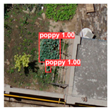 Remotesensing 14 01834 i028