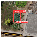 Remotesensing 14 01834 i032