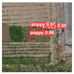 Remotesensing 14 01834 i033