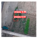 Remotesensing 14 01834 i034