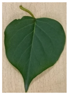 Remotesensing 14 01857 i001