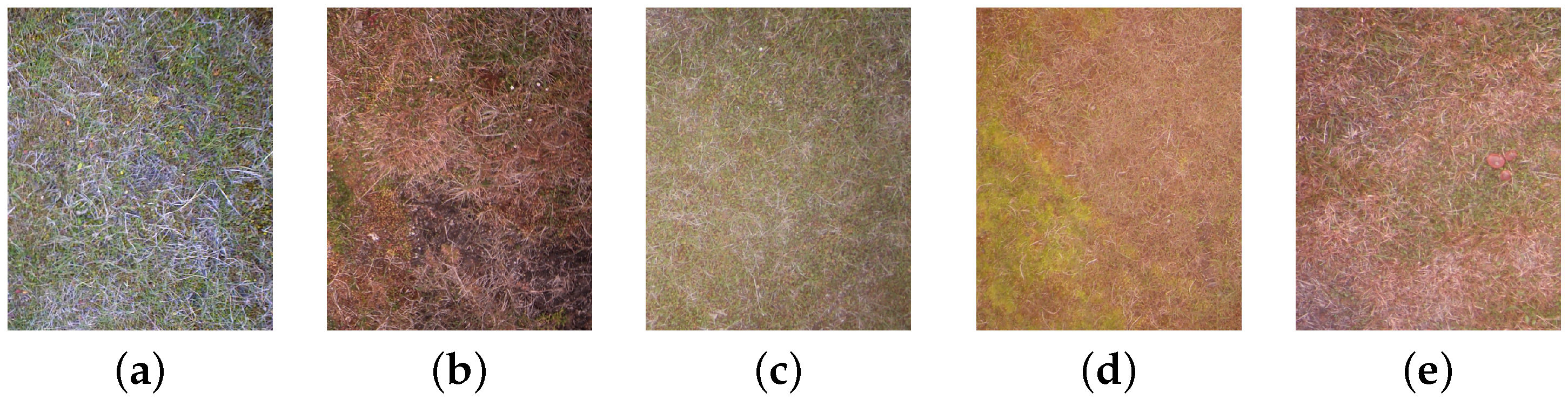 Remotesensing 14 01866 g002