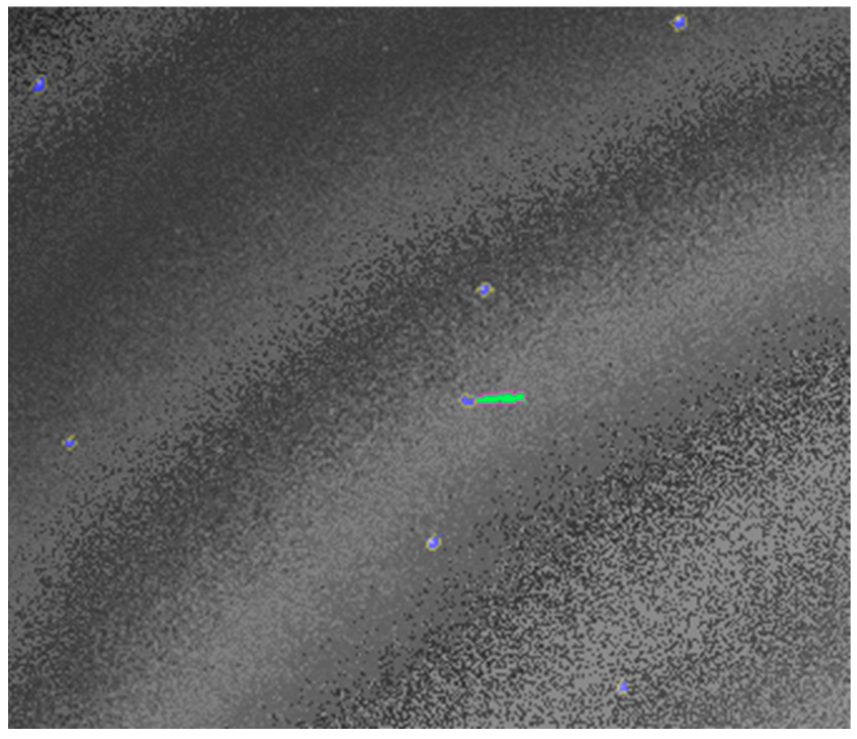 Remotesensing 14 01905 g009