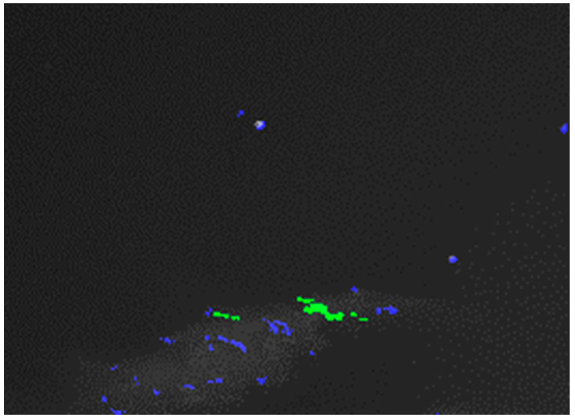 Remotesensing 14 01905 g010