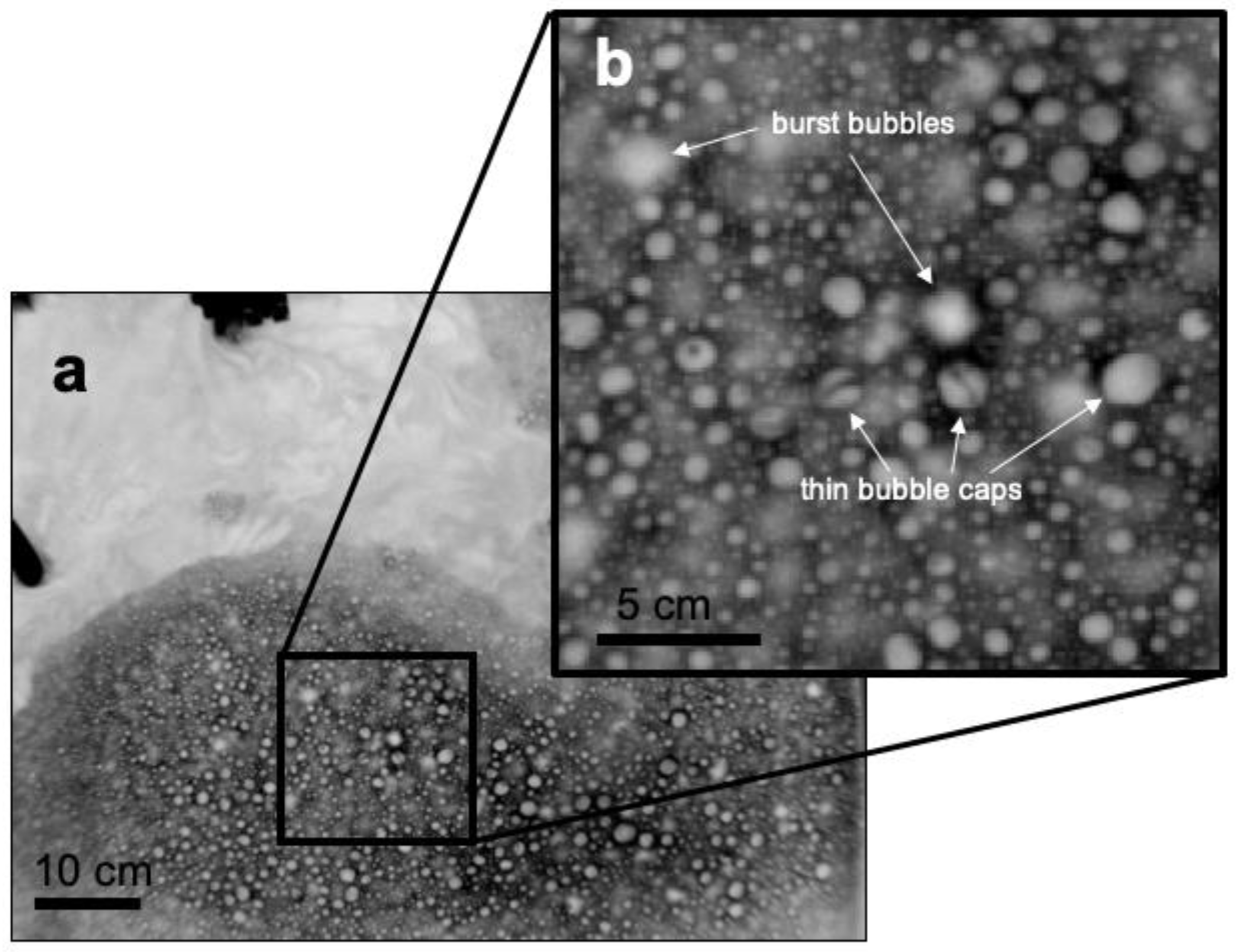 Remotesensing 14 01925 g010 Remotesensing 14 01925 g010