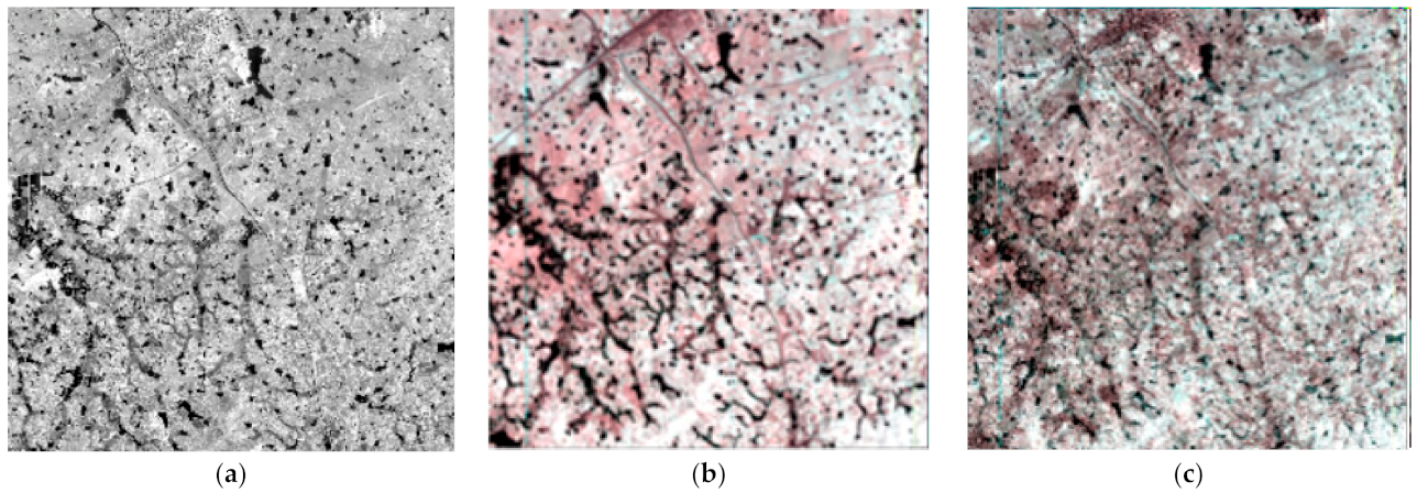 Remotesensing 14 01981 g004 550