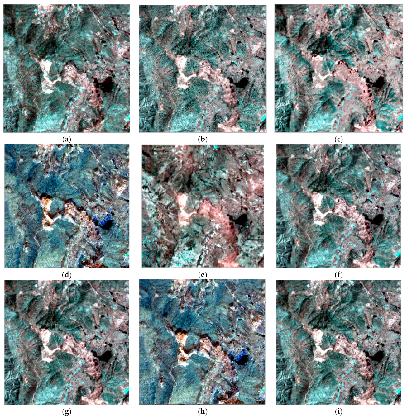 Remotesensing 14 01981 g012 550