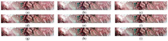 Remote Sensing | Free Full-Text | An Encoder–Decoder with a Residual ...
