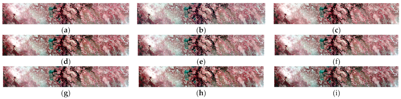 Remotesensing 14 01981 g014 550