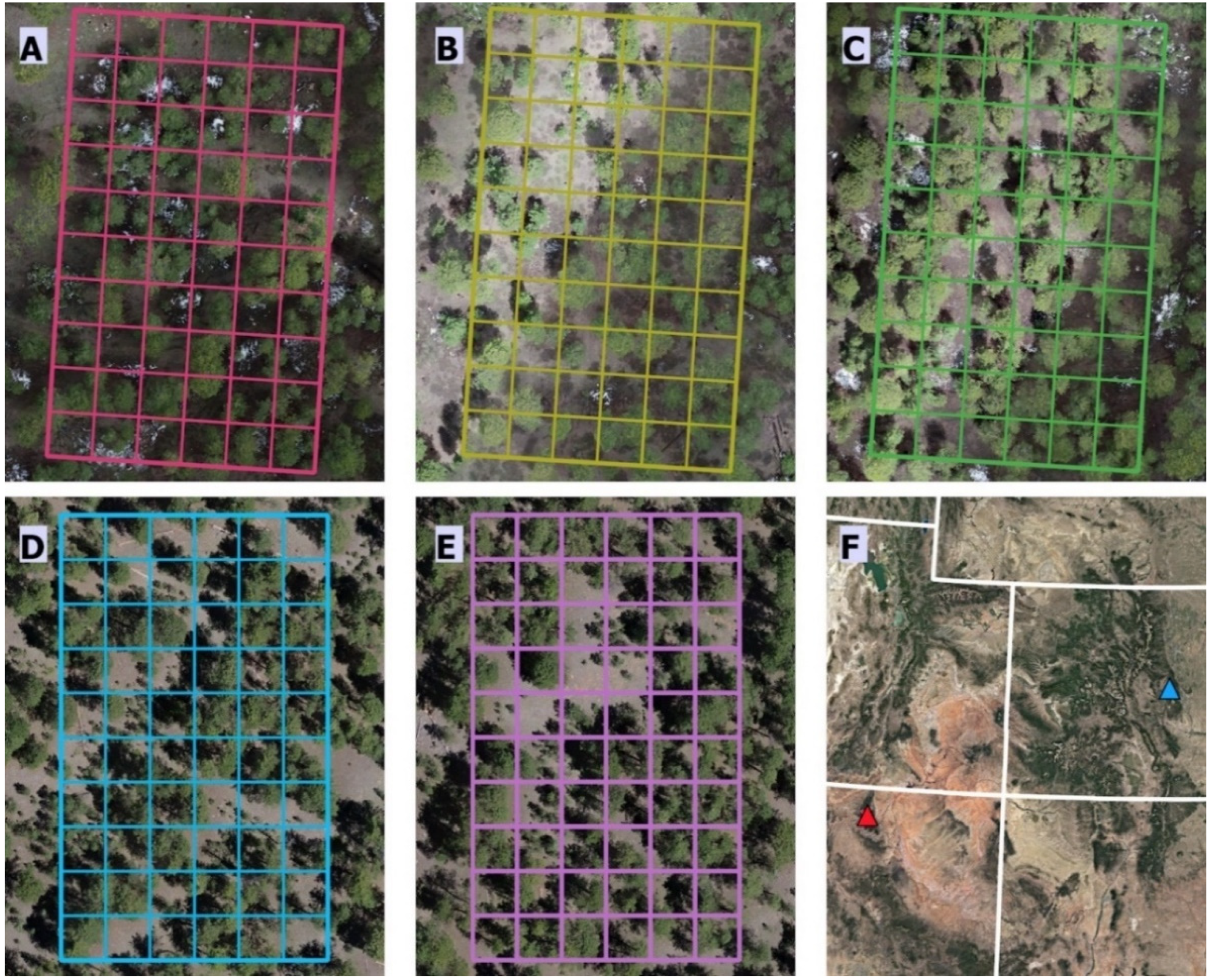 Remotesensing 14 01989 g001