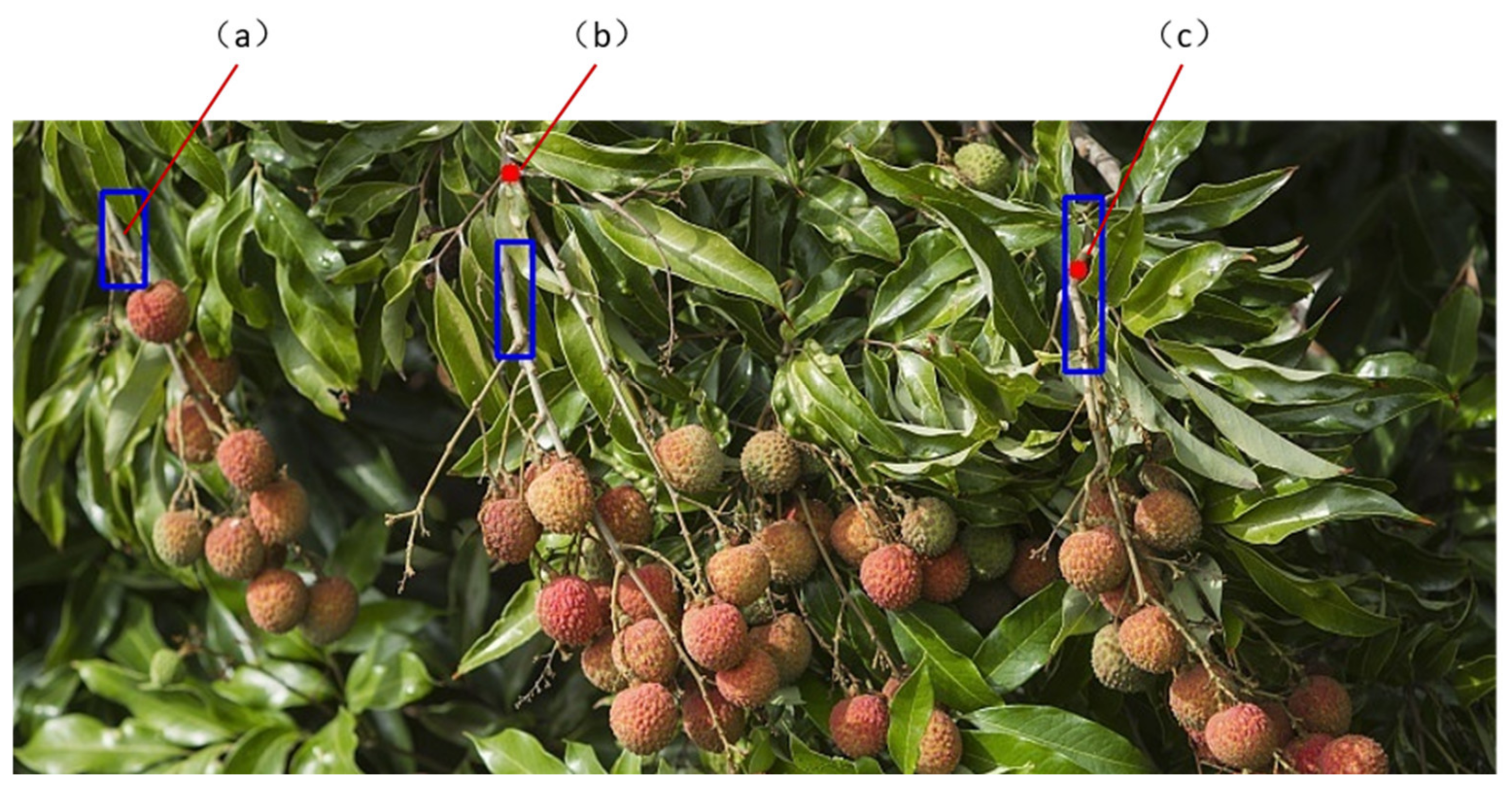 Remotesensing 14 02004 g009