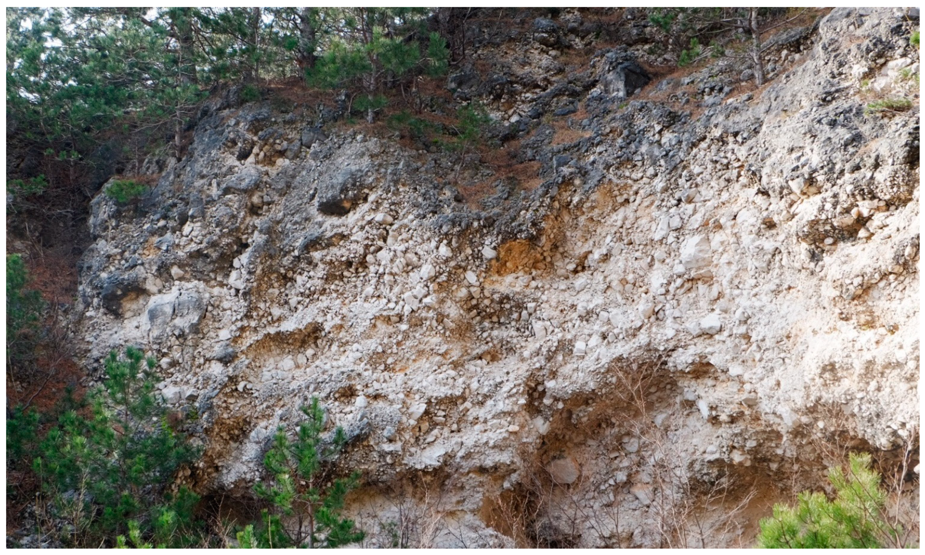 Remotesensing 14 02016 g005