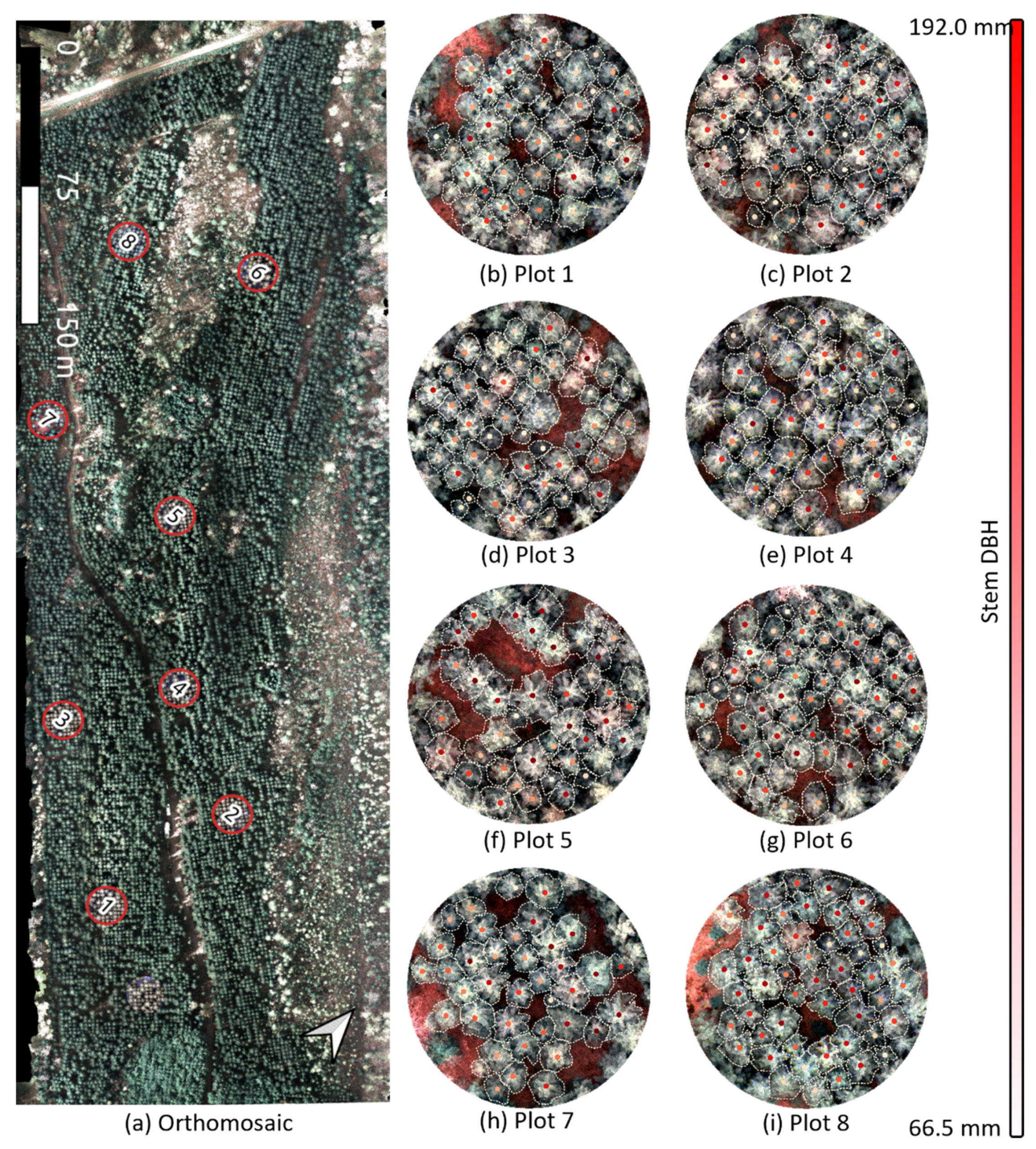 Remotesensing 14 02044 g001