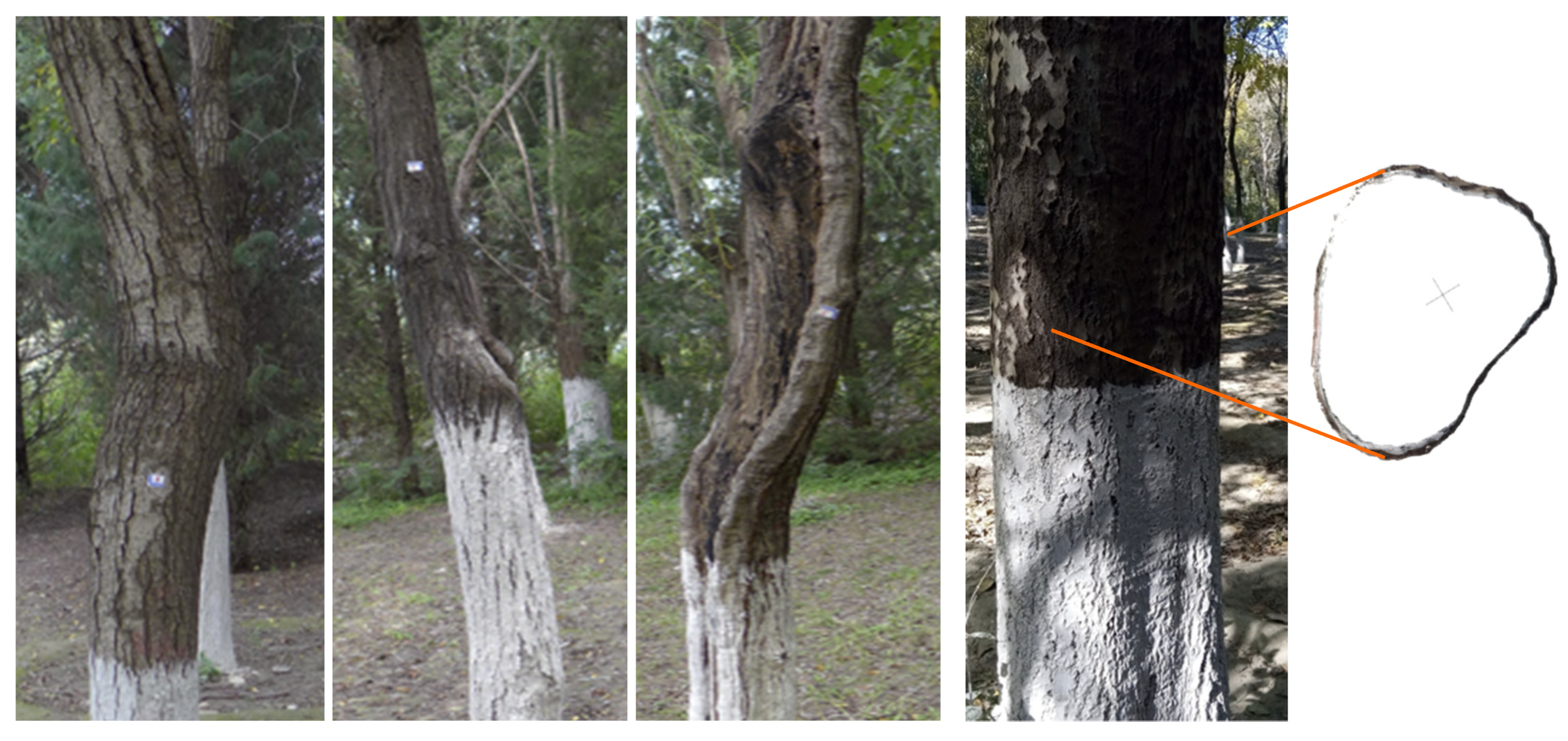 Remotesensing 14 02064 g002 550