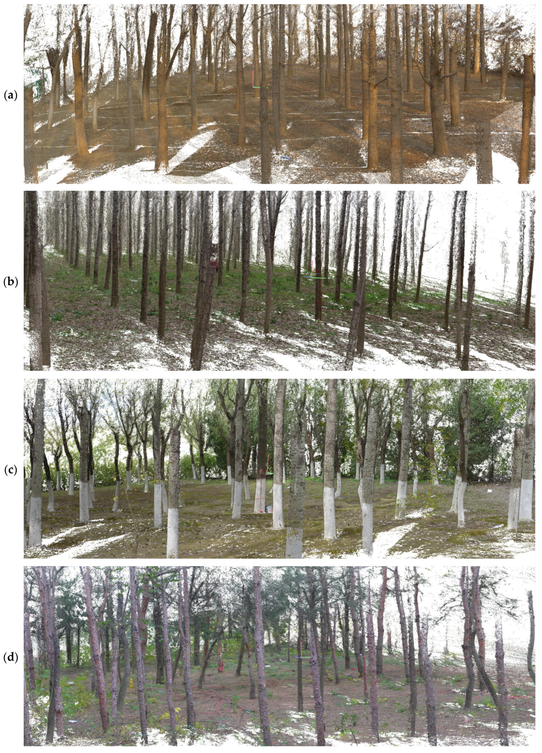 Remotesensing 14 02064 g008 550