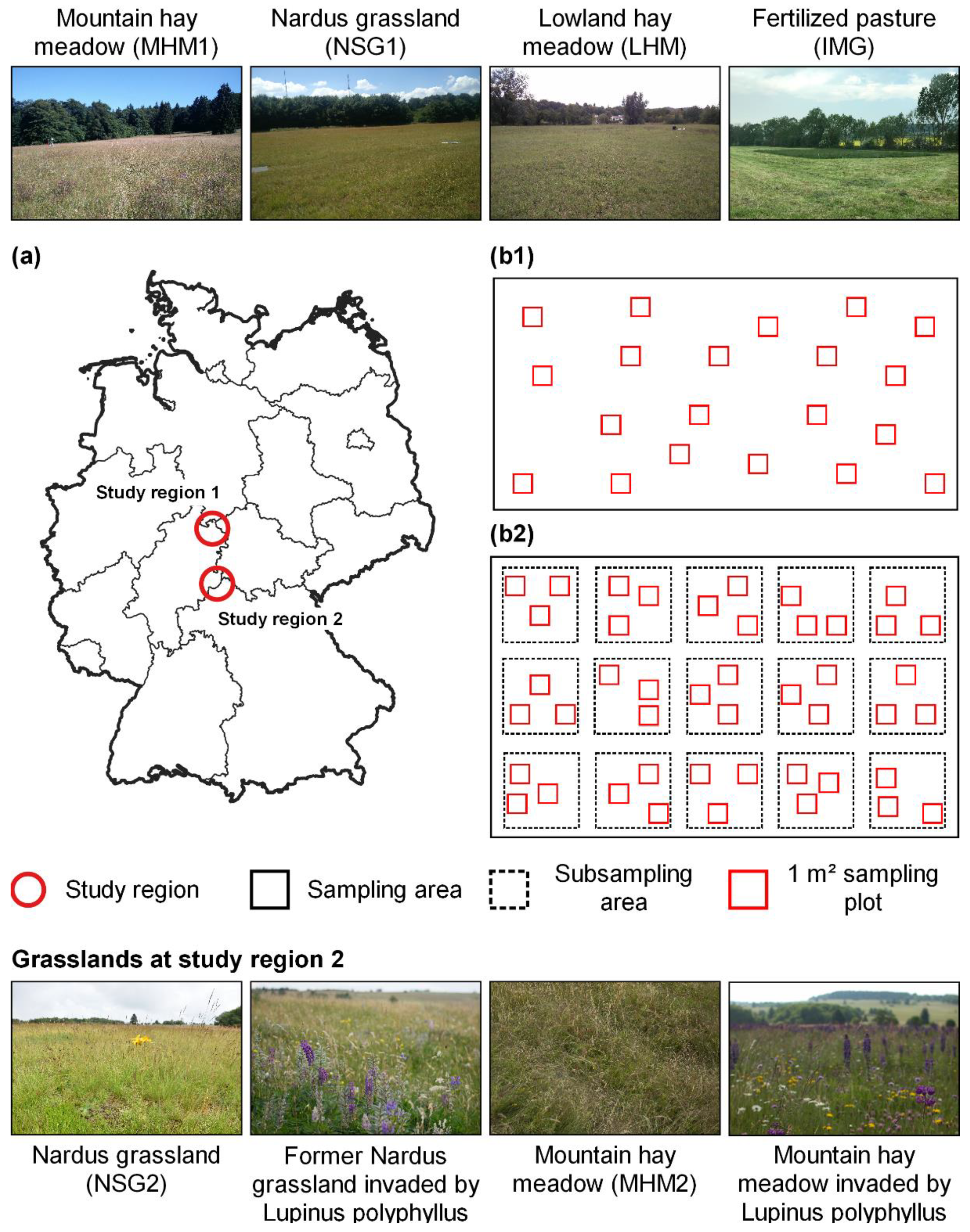 Remotesensing 14 02068 g001 550