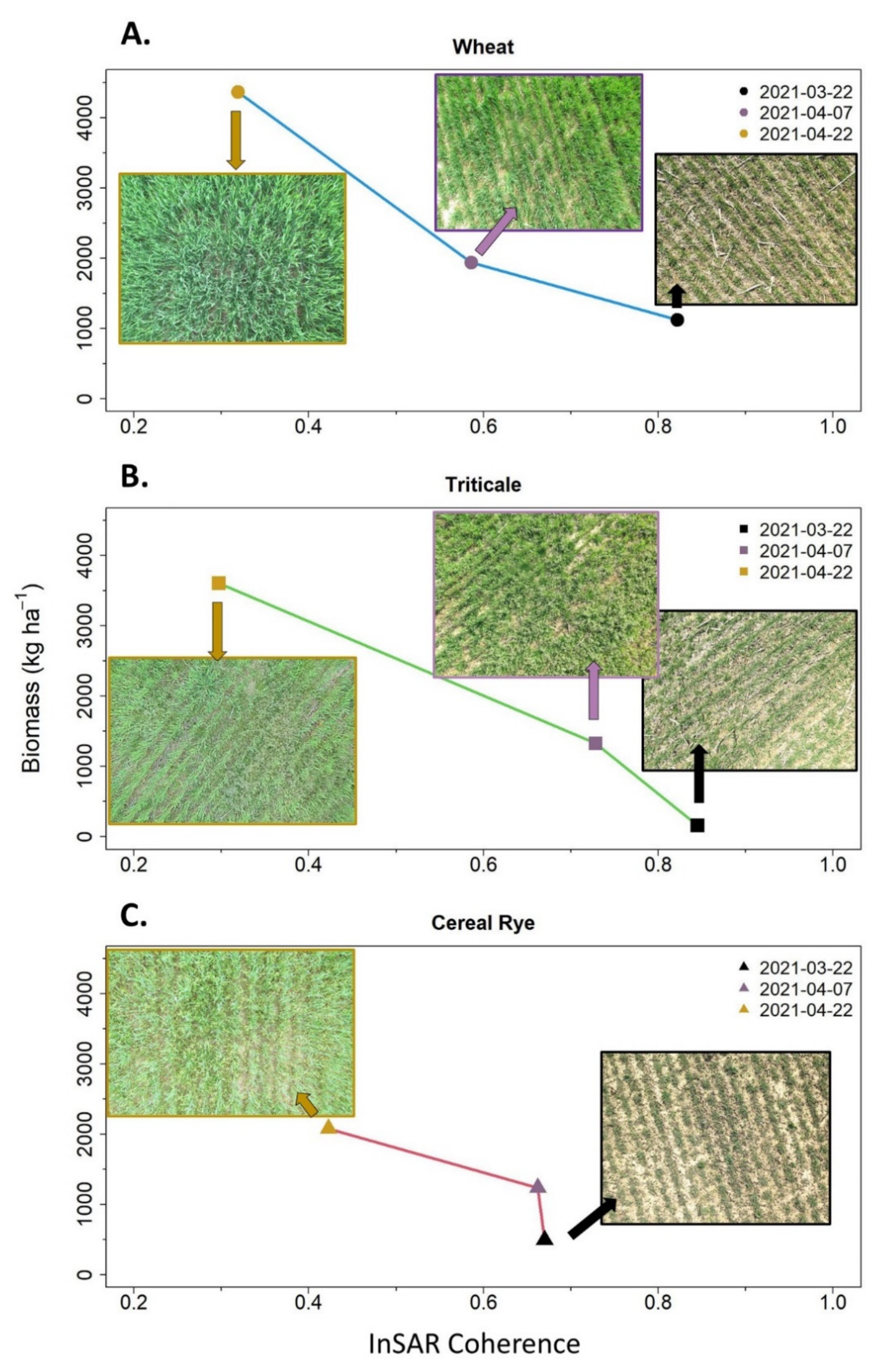 Remotesensing 14 02077 g006 550