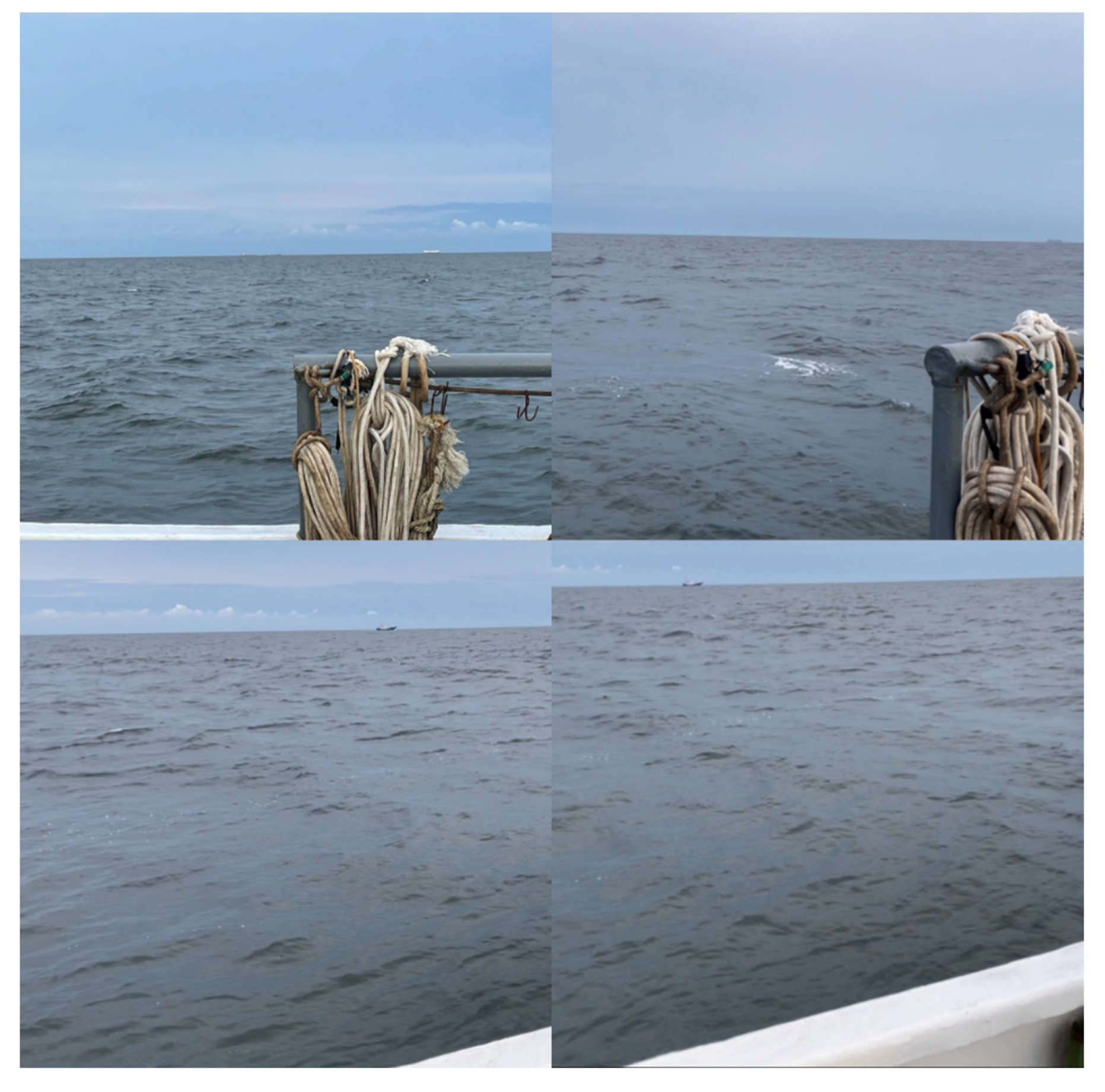 Remotesensing 14 02089 g0a2 550