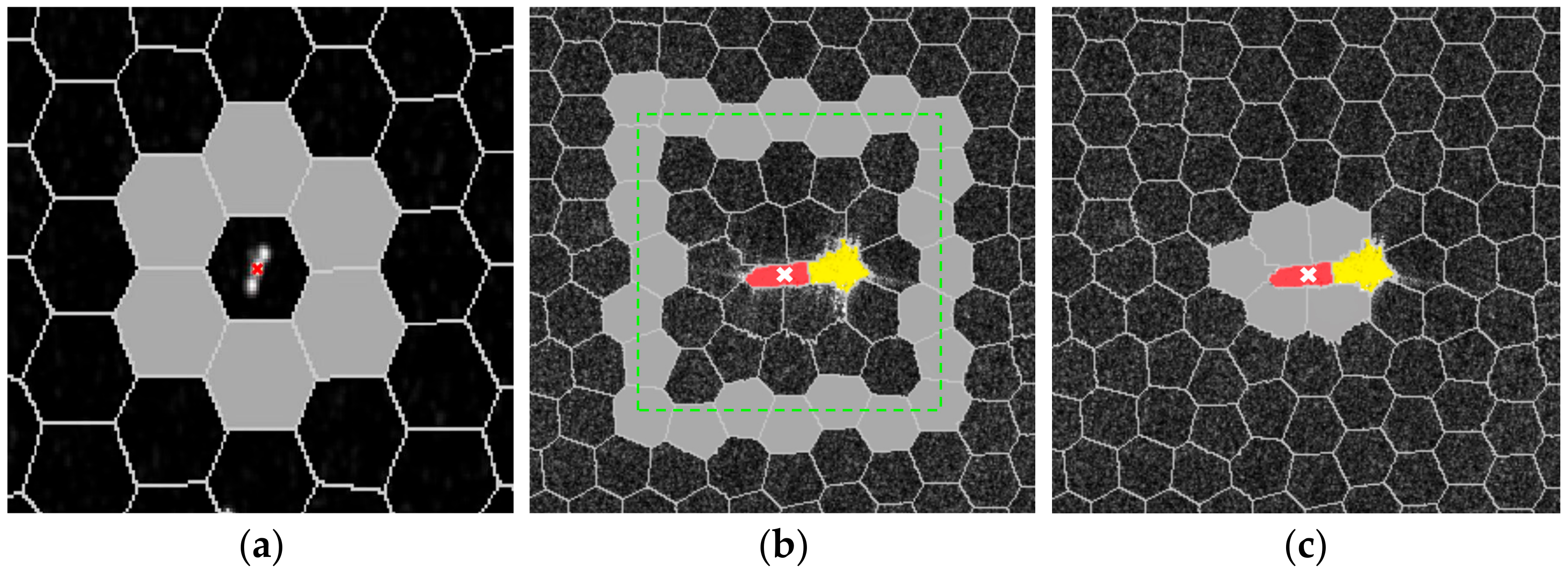 Remotesensing 14 02092 g002 550