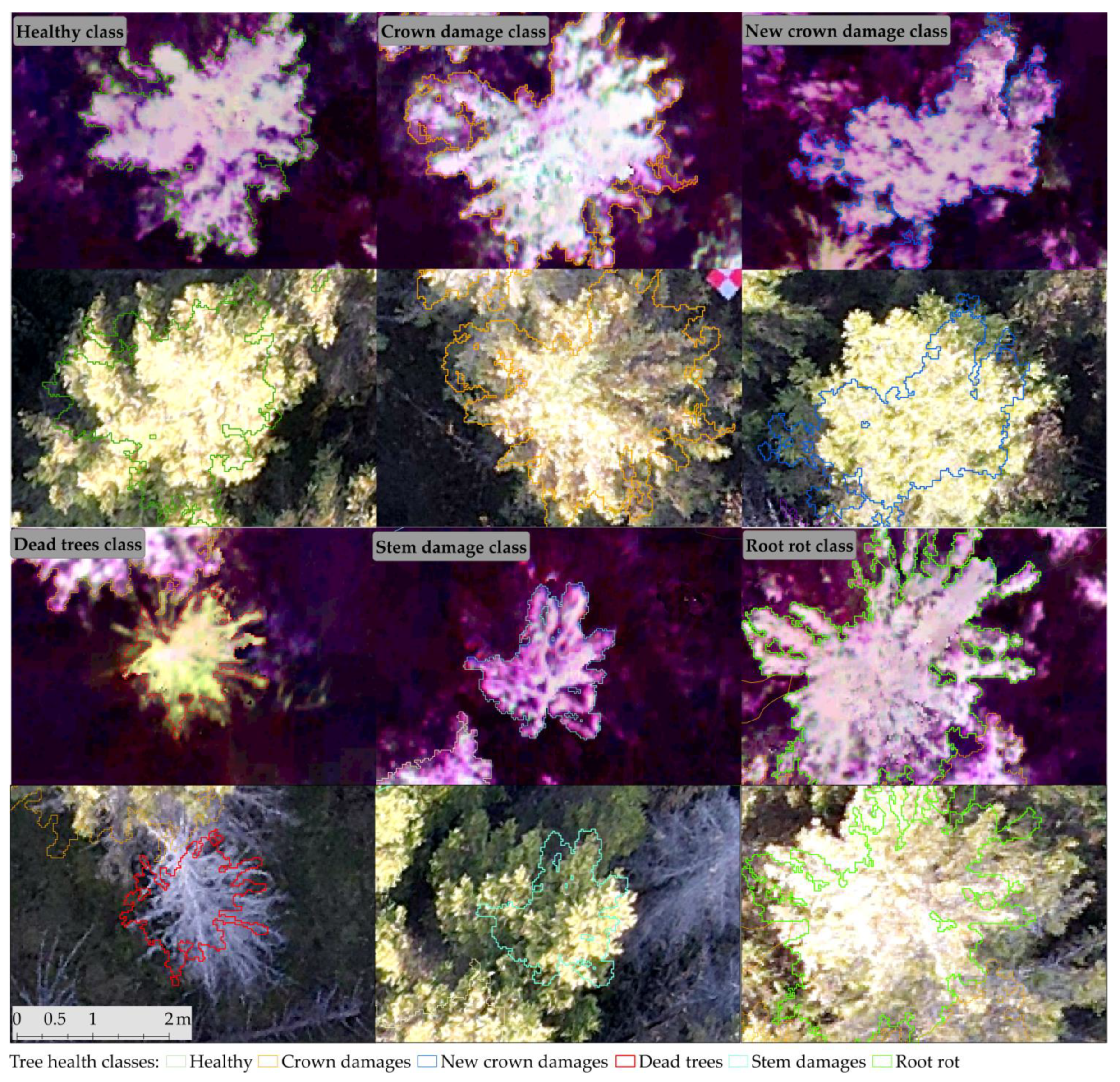 Remotesensing 14 02122 g003