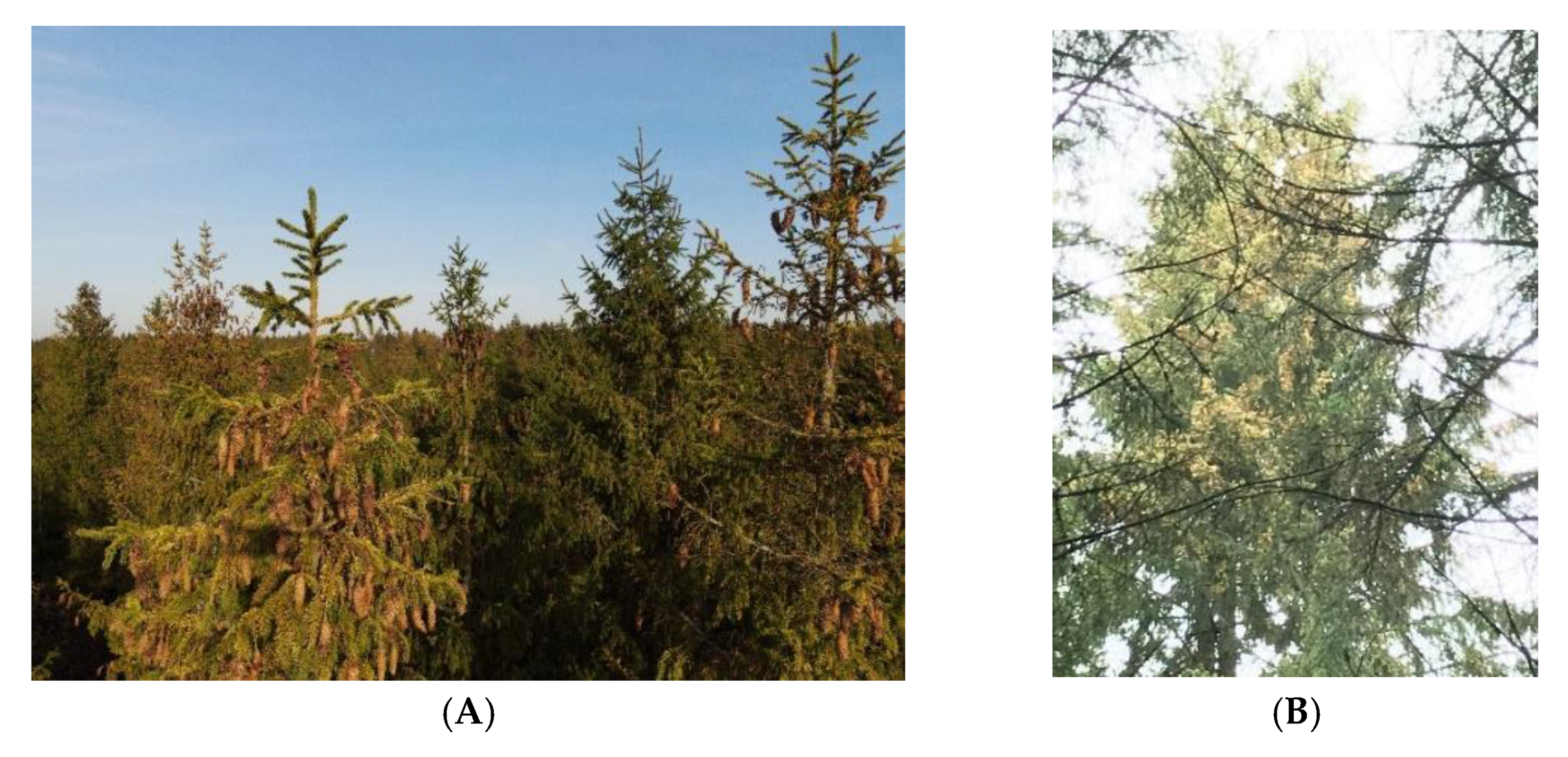 Remotesensing 14 02122 g005