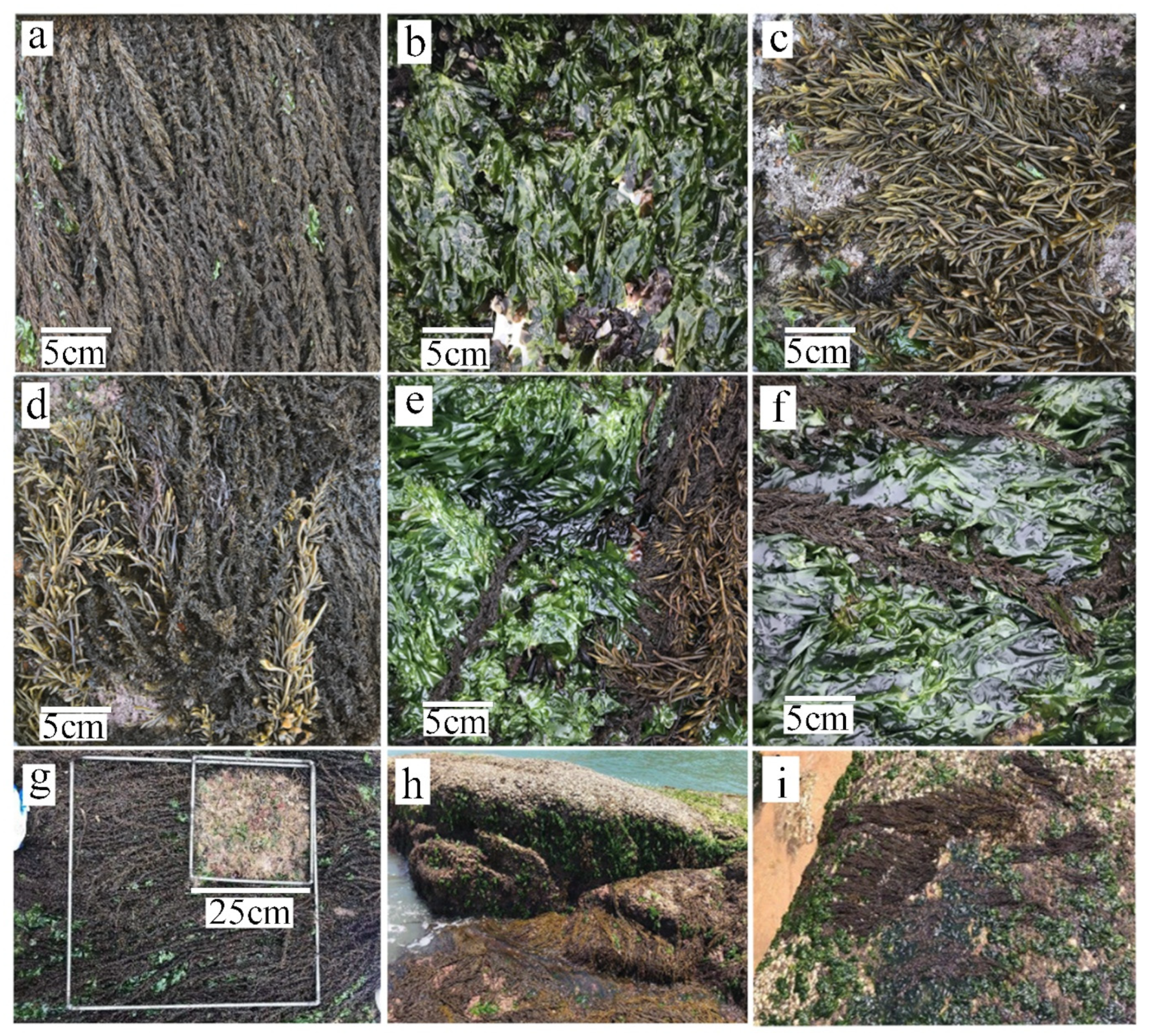 Remotesensing 14 02143 g004