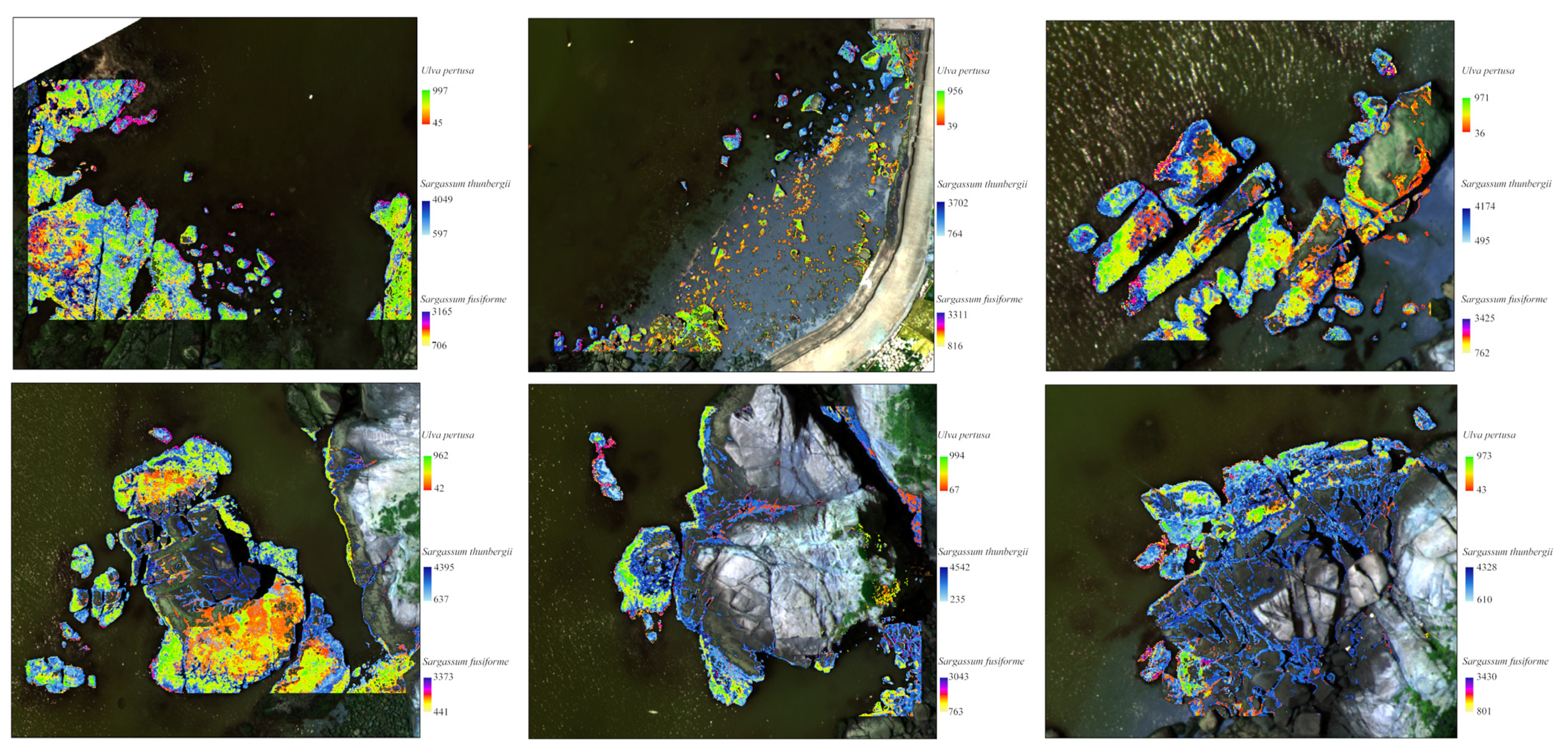 Remotesensing 14 02143 g012