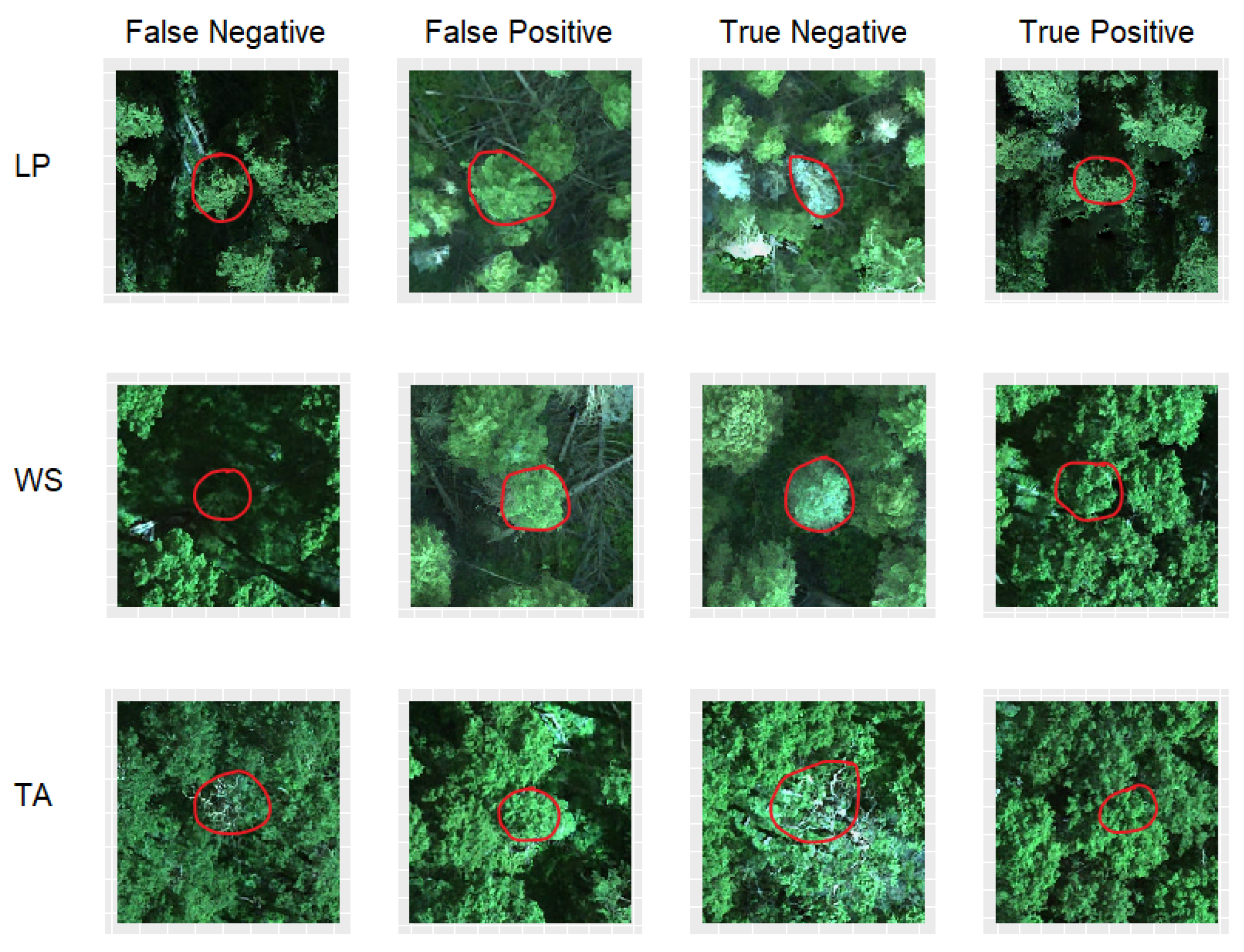 Remotesensing 14 02195 g004 550