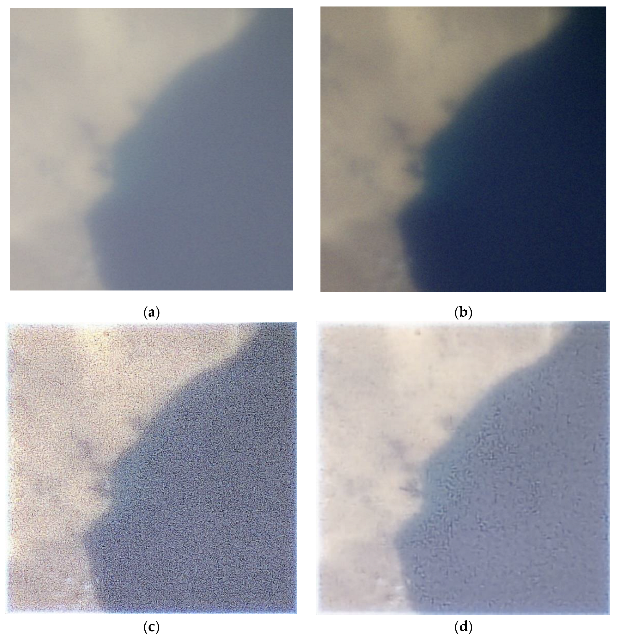 Remotesensing 14 02230 g008