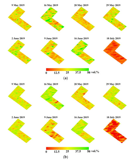 Estimating Soil Moisture over Winter Wheat Fields during