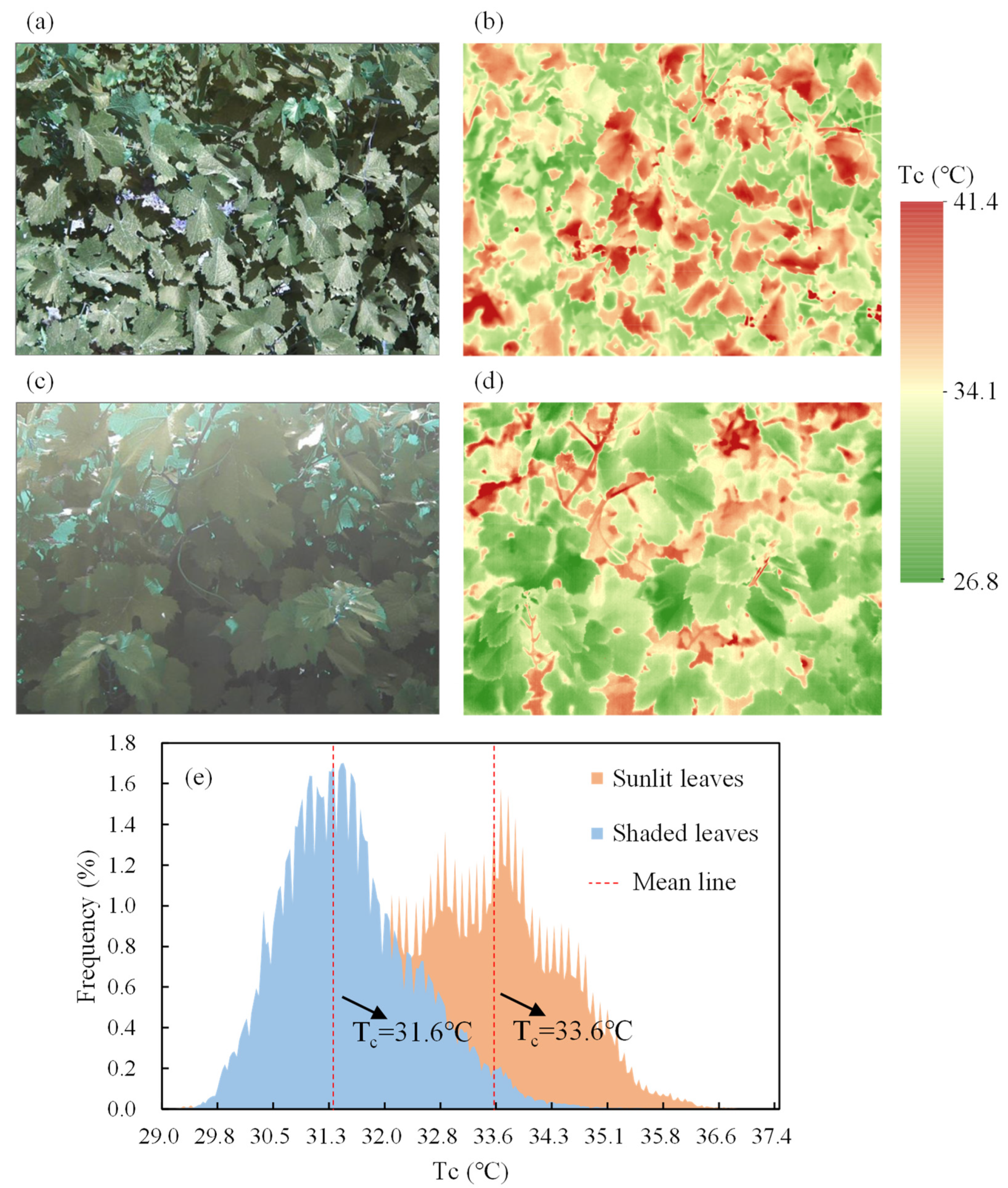 Remotesensing 14 02259 g010