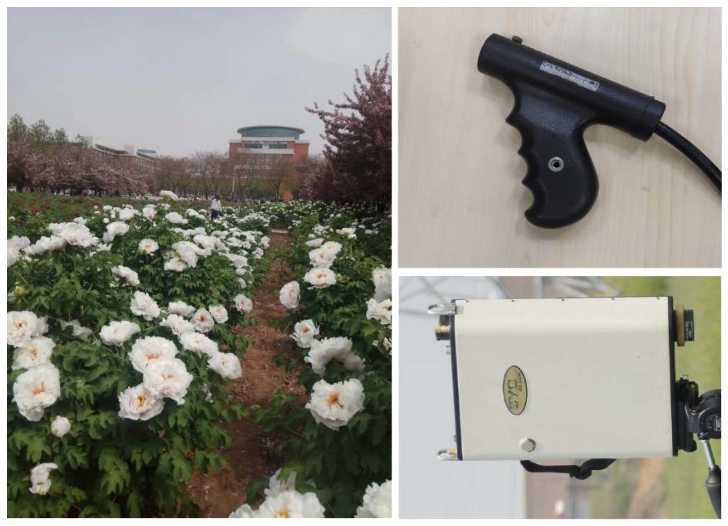 Remotesensing 14 02271 g002