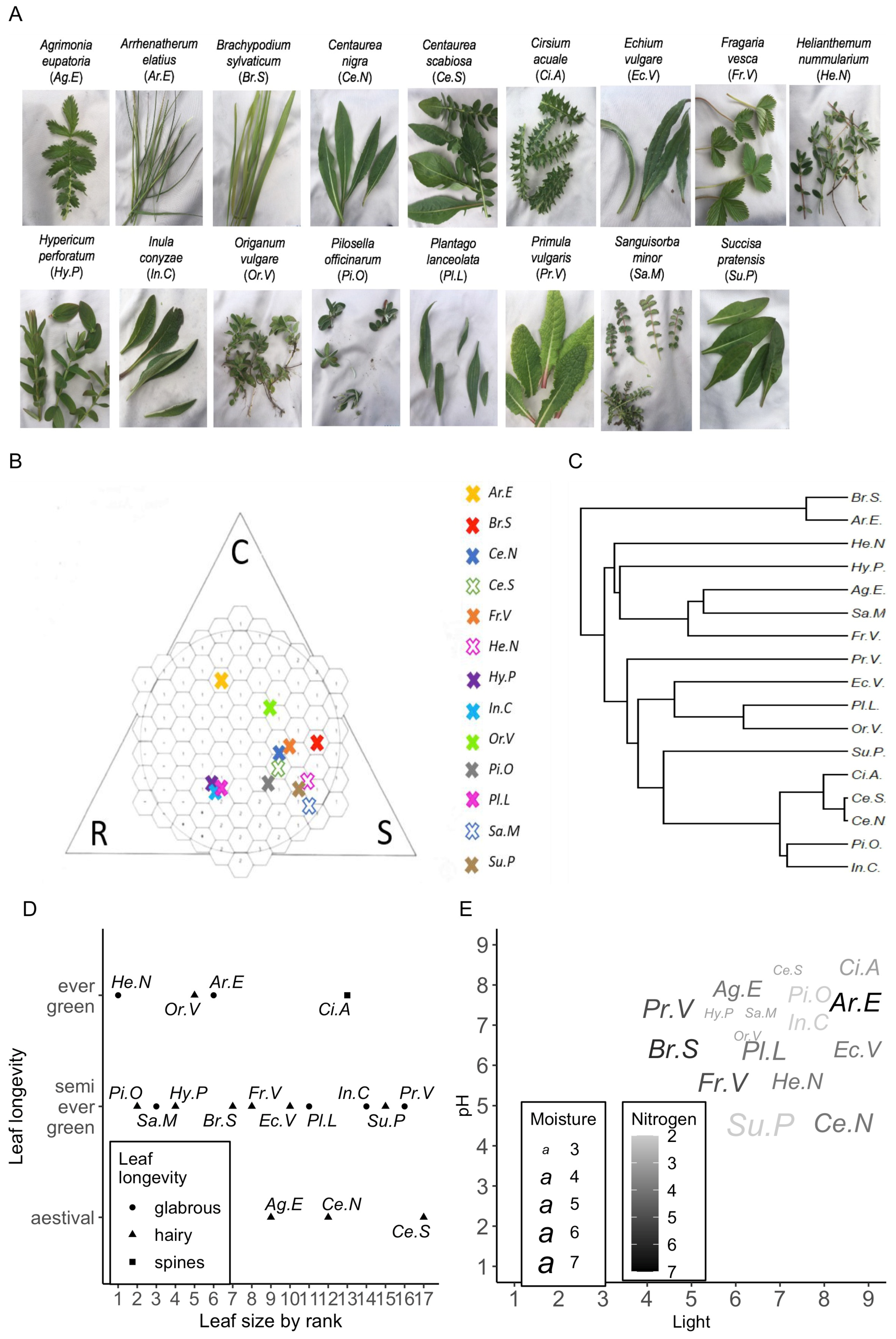 Remotesensing 14 02310 g001