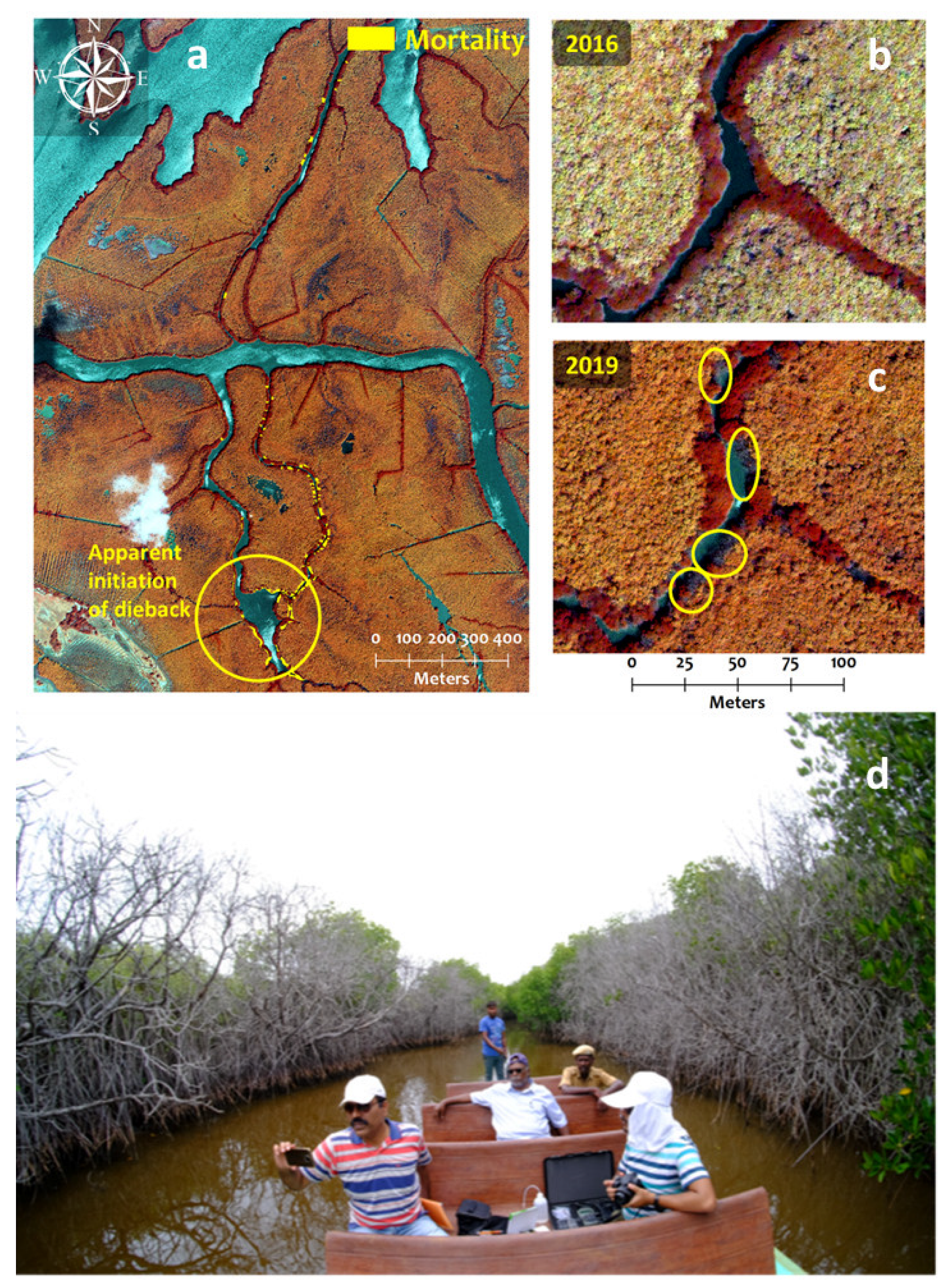 Remotesensing 14 02317 g010