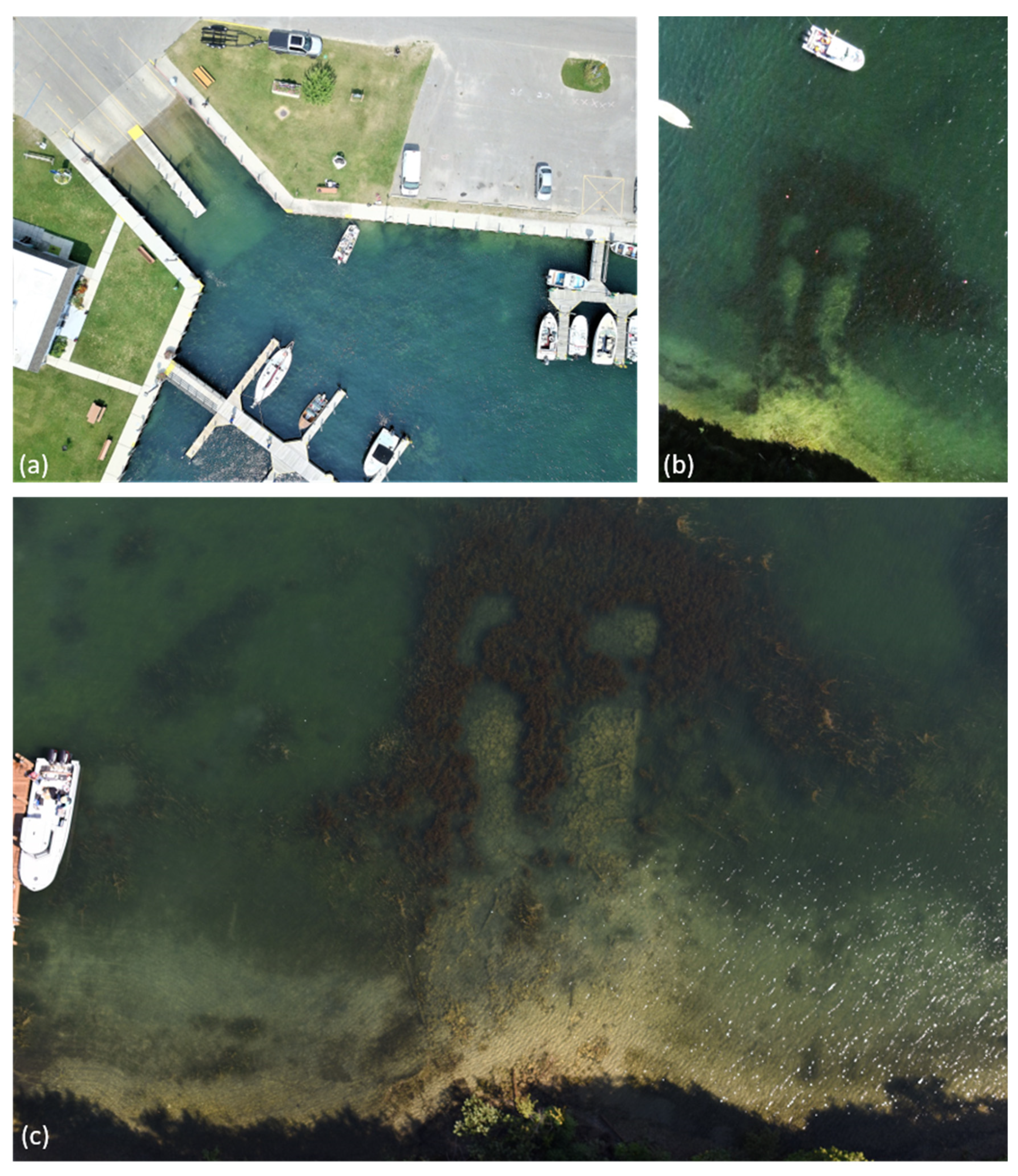 Remotesensing 14 02336 g002 550