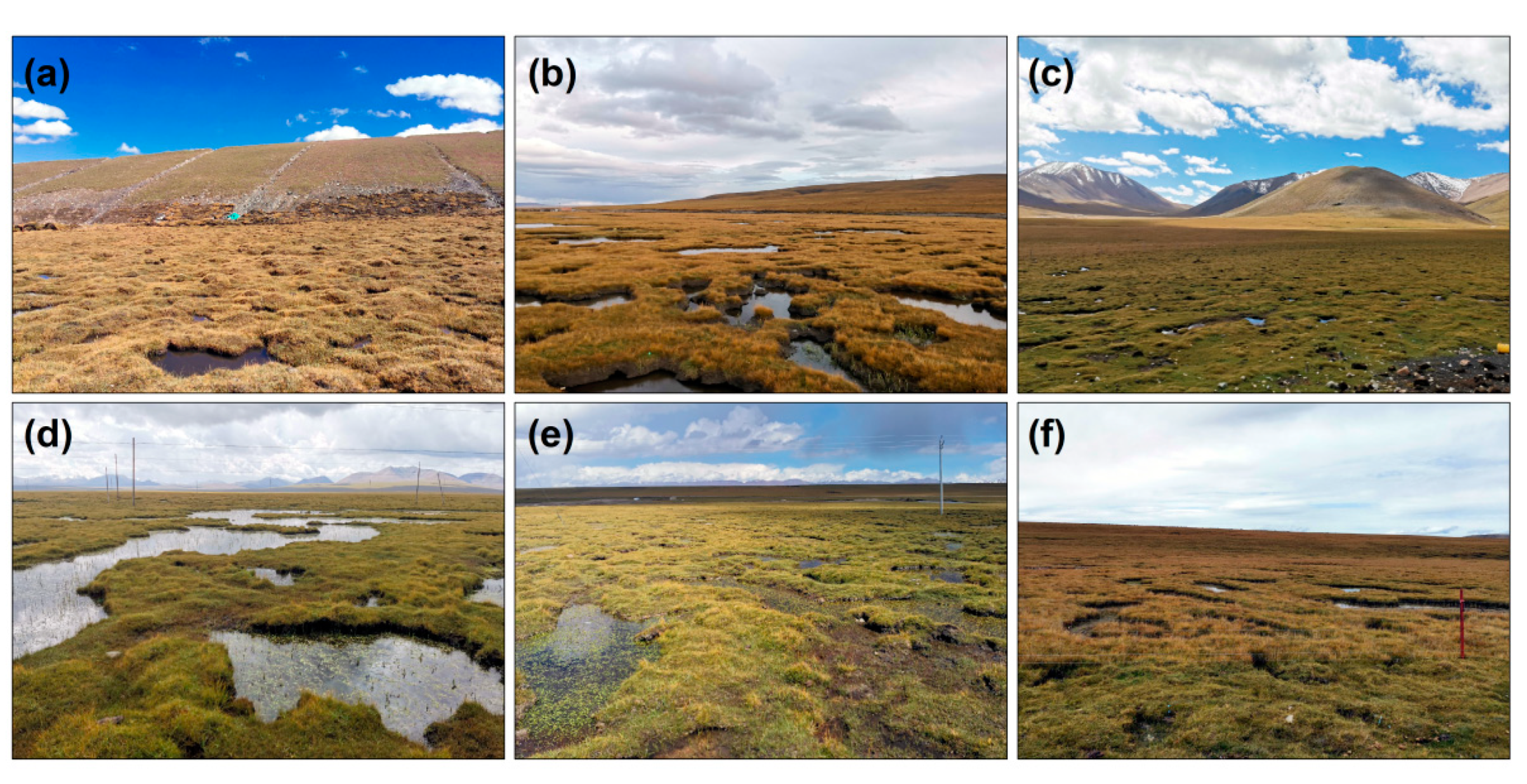 Remotesensing 14 02352 g007 550