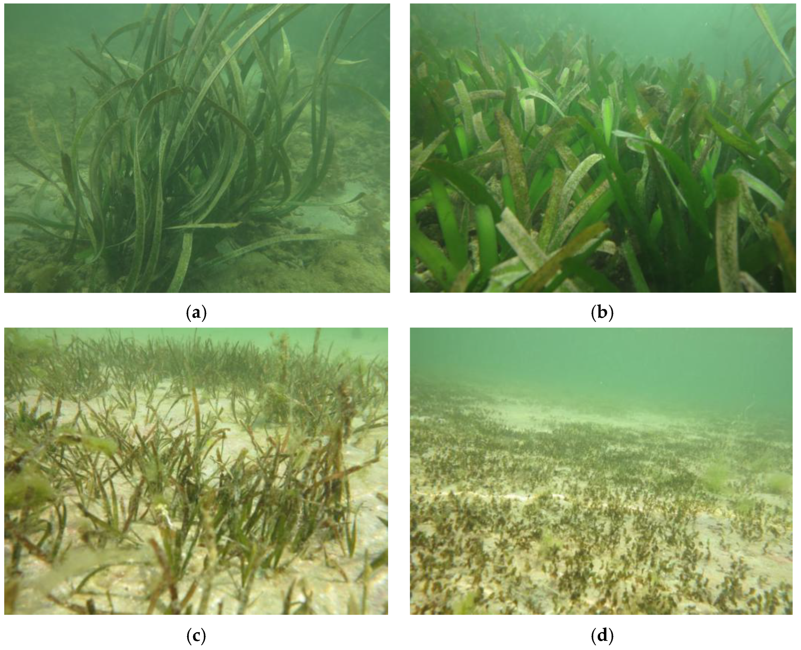 Remotesensing 14 02373 g003a