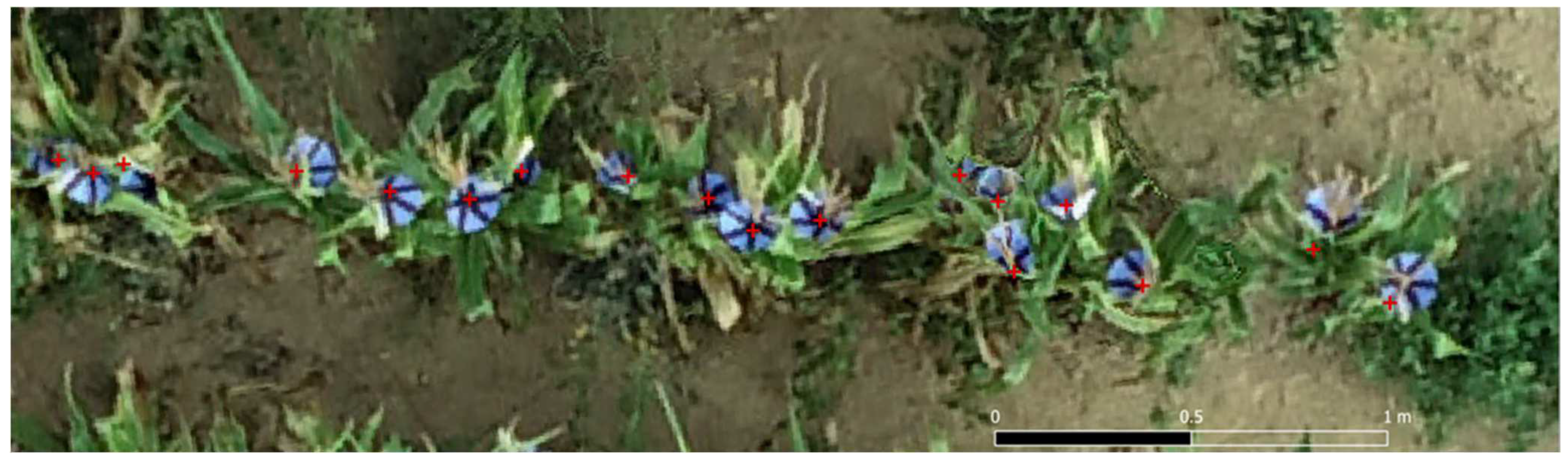 Remotesensing 14 02391 g028