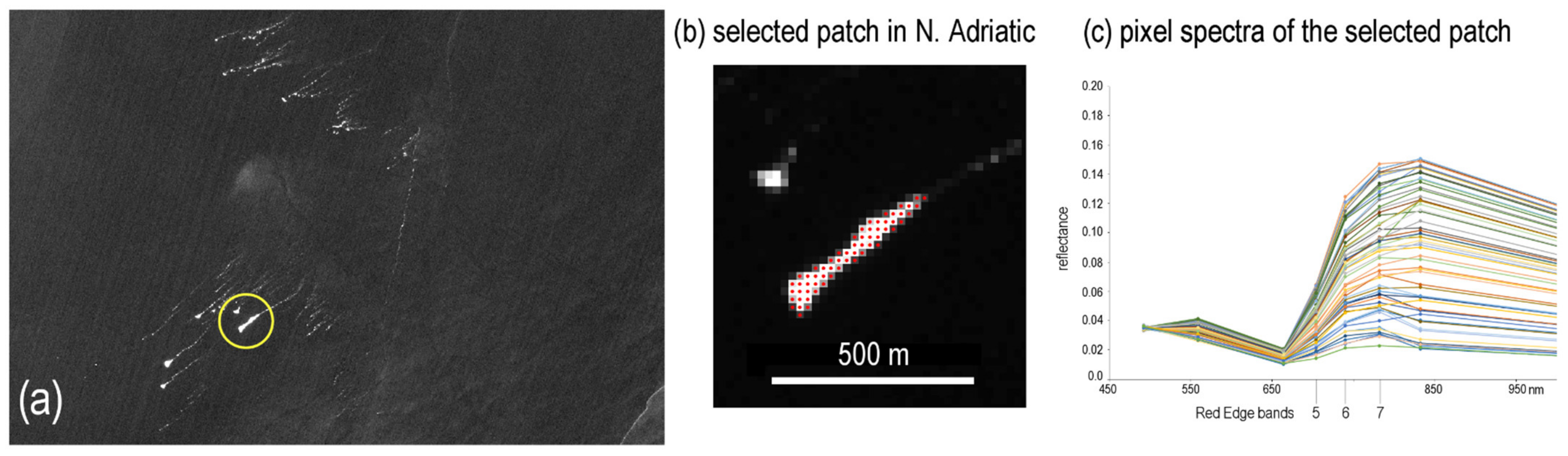 Remotesensing 14 02409 g012 550