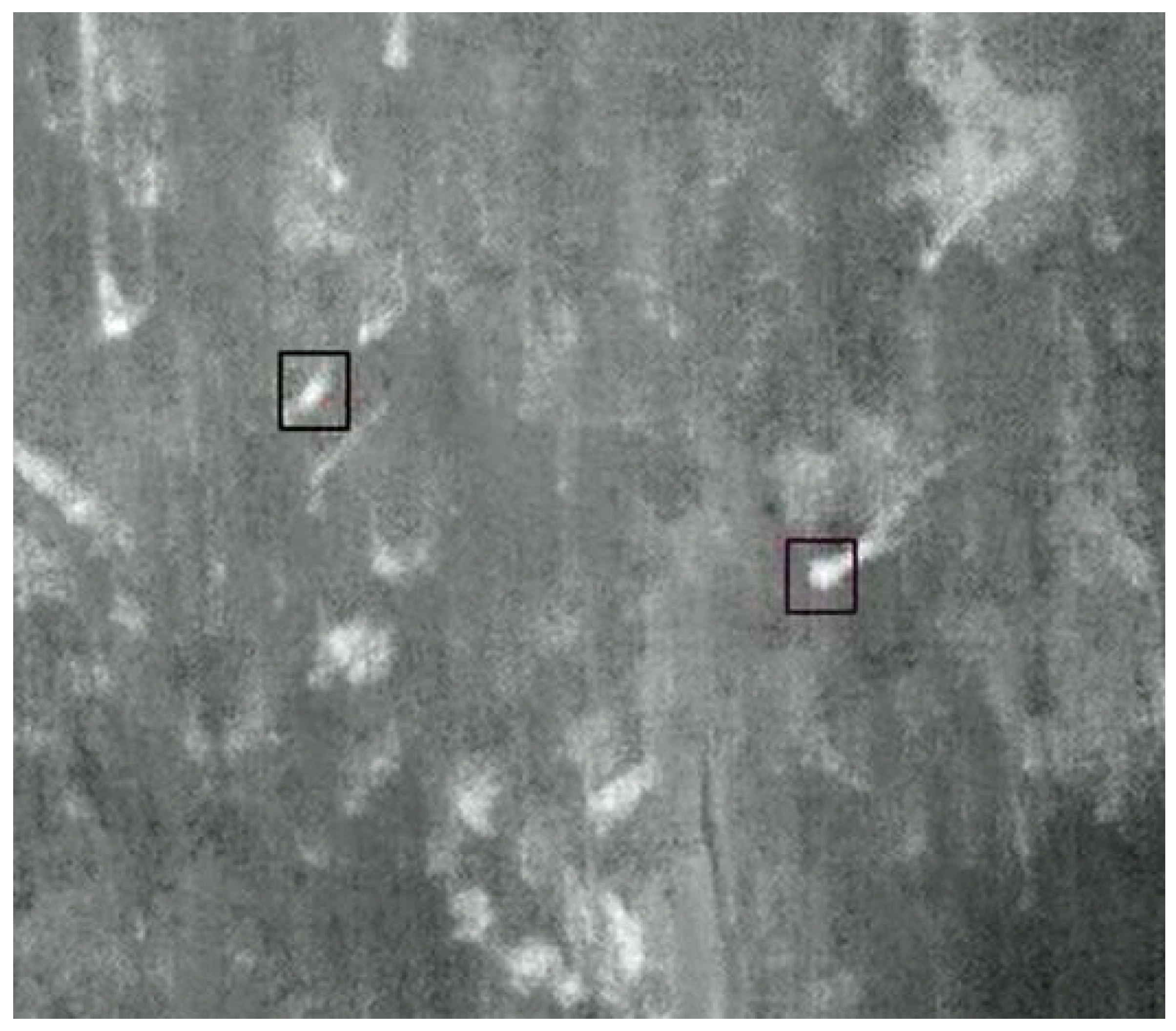 Remotesensing 14 02432 g003 550