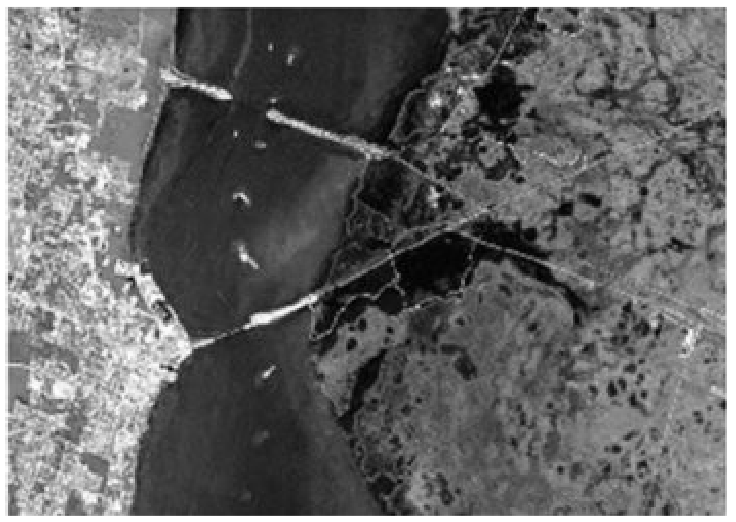 Remotesensing 14 02447 g004 550