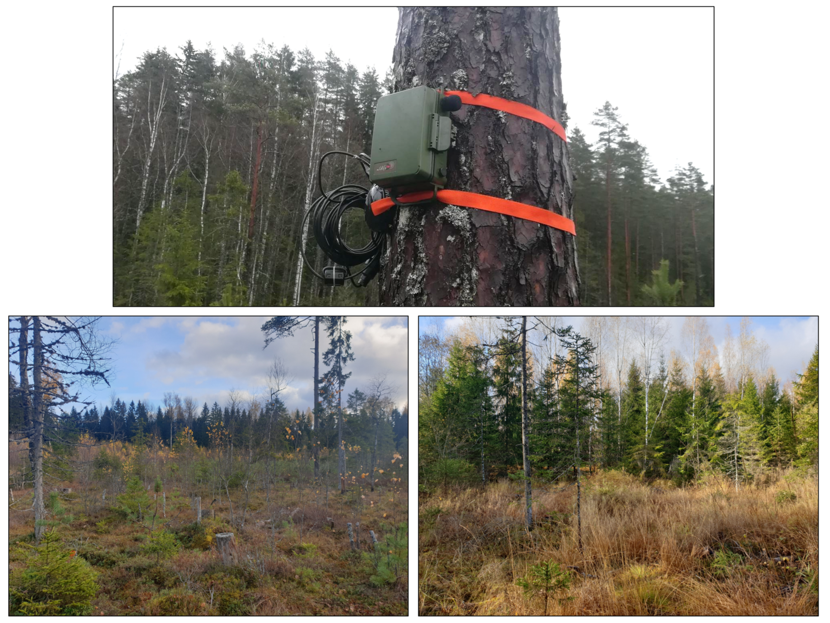 Remotesensing 14 02464 g003